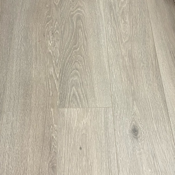 Meet your Posher, Danya - Picture 1 of 1